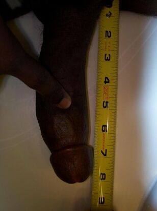 measuring meaty dark-hued shaft